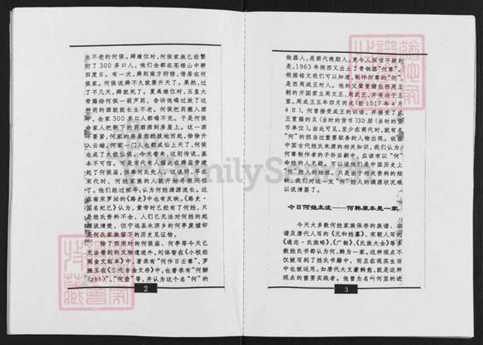 四川省绵阳市三台县石安镇何氏族谱-何氏族谱.pdf电子版预览图4