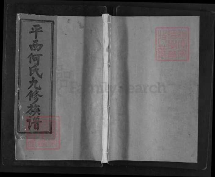 江西省抚州市广昌县江西省抚州市广昌县江西省赣州市石城县何氏族谱-平西何氏九修族谱.pdf电子版缩略图