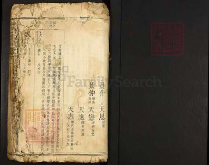 江西省赣州市宁都县洛口镇何氏族谱-何氏宗谱.pdf电子版预览图1