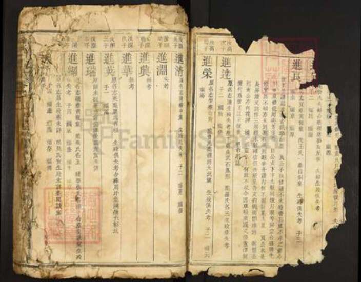 江西省赣州市宁都县洛口镇何氏族谱-何氏宗谱.pdf电子版预览图2