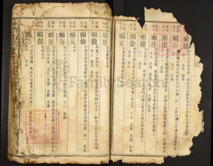 江西省赣州市宁都县洛口镇何氏族谱-何氏宗谱.pdf电子版预览图3