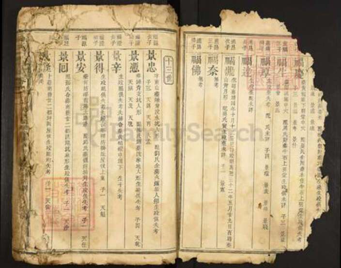 江西省赣州市宁都县洛口镇何氏族谱-何氏宗谱.pdf电子版预览图4