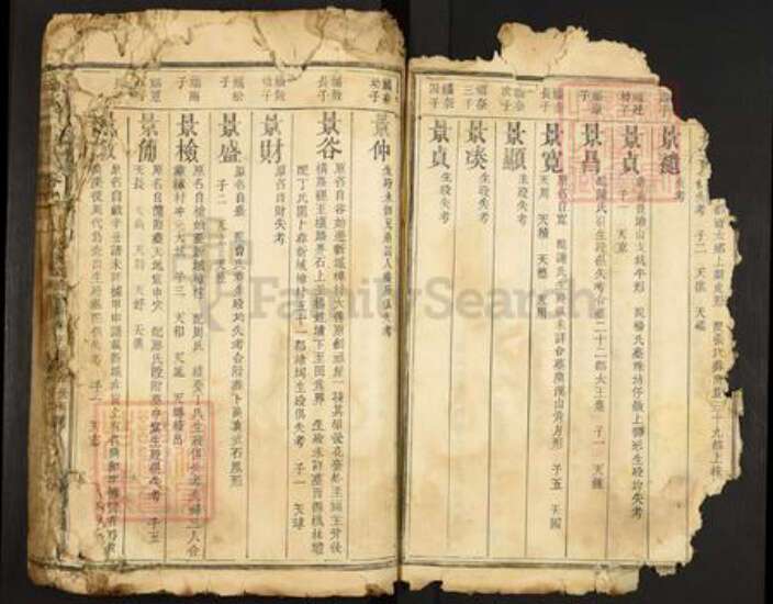 江西省赣州市宁都县洛口镇何氏族谱-何氏宗谱.pdf电子版预览图5