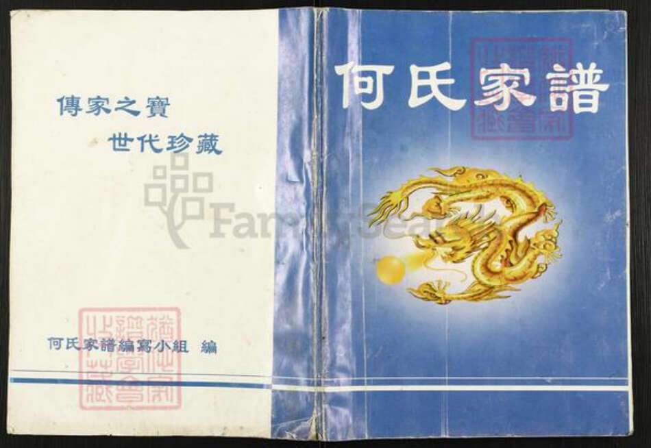 四川省南充市营山县回龙镇何氏族谱-何氏家谱.pdf电子版缩略图