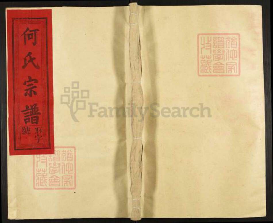 江西省上饶市上饶县石狮乡何氏族谱-庐江何氏宗谱.pdf电子版缩略图