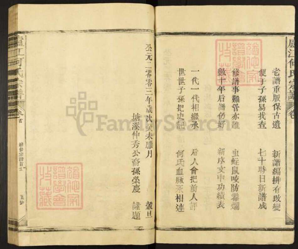 江西省上饶市上饶县石狮乡何氏族谱-庐江何氏宗谱.pdf电子版预览图5