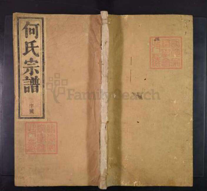 江西省上饶市婺源县鄣山乡何氏何星堂族谱-何氏宗谱.pdf电子版缩略图