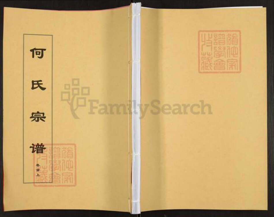 安徽省安庆市太湖县何氏三高堂族谱-何氏宗谱.pdf电子版缩略图