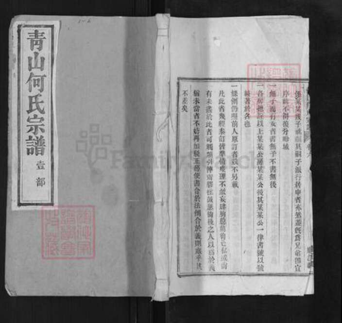 安徽省铜陵市枞阳县何氏族谱-青山何氏宗谱.pdf电子版缩略图