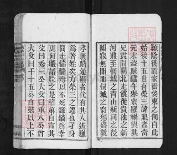 安徽省铜陵市枞阳县何氏族谱-青山何氏宗谱.pdf电子版预览图2