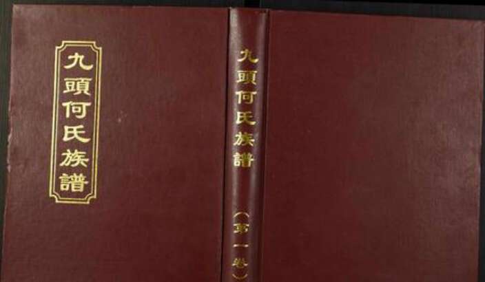 湖南省郴州市汝城县何氏族谱-九头何氏族谱.pdf电子版缩略图