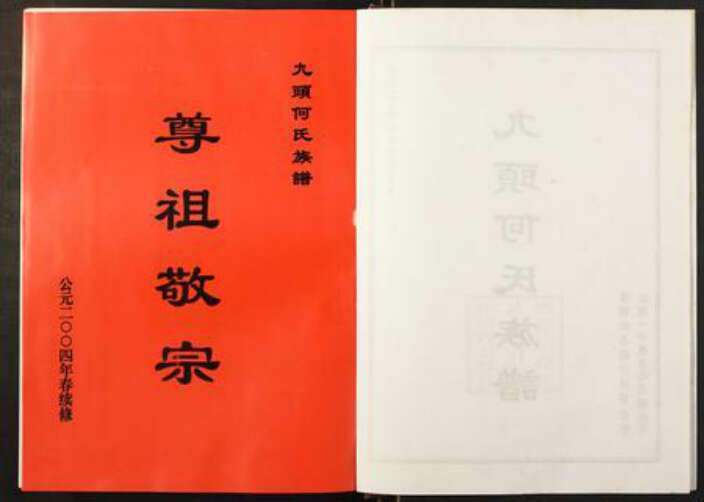 湖南省郴州市汝城县何氏族谱-九头何氏族谱.pdf电子版预览图2