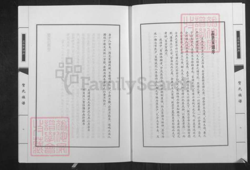 山西省忻州市五台县神西乡贺氏族谱-贺氏族谱.pdf电子版预览图4