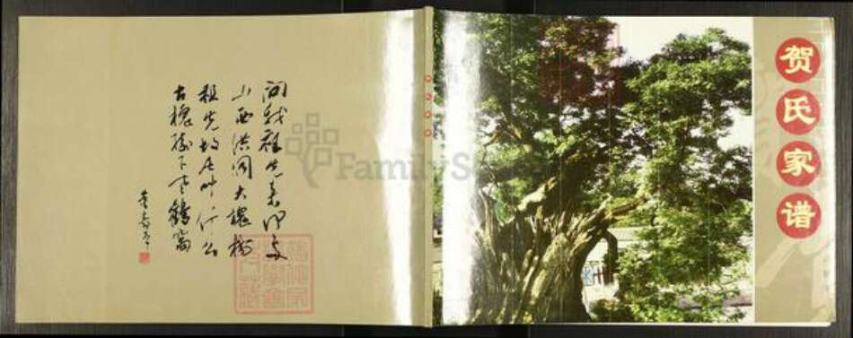 河北省邯郸市邯山区马庄乡贺氏族谱-新续贺氏家谱.pdf电子版缩略图