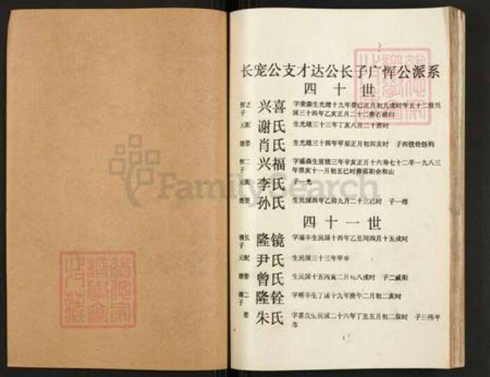 湖南省娄底市双峰县印塘乡贺氏族谱-涟湘贺氏族谱.pdf电子版预览图1