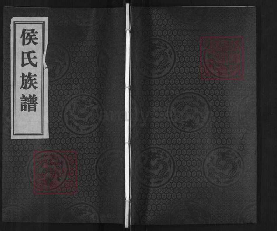 河北省沧州南皮县南皮镇侯氏族谱-侯氏族谱.pdf电子版缩略图