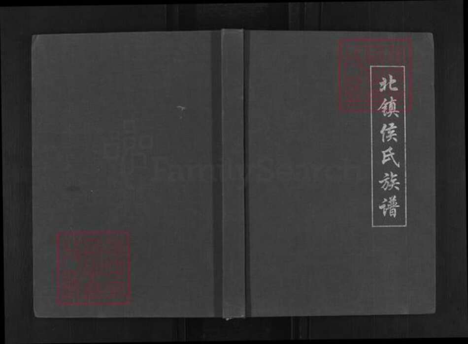 山东省滨州市滨城区侯氏族谱-山东北镇侯氏族谱续修.pdf电子版缩略图
