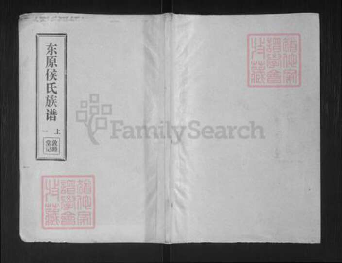 山东省泰安市东平县侯氏族谱-东原侯氏族谱.pdf电子版缩略图