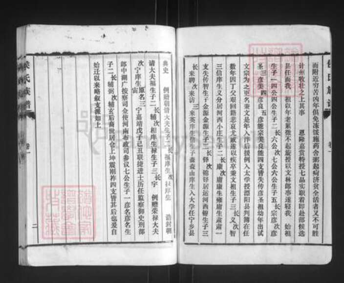 山东省泰安市东平县侯氏族谱-东原侯氏族谱.pdf电子版预览图2