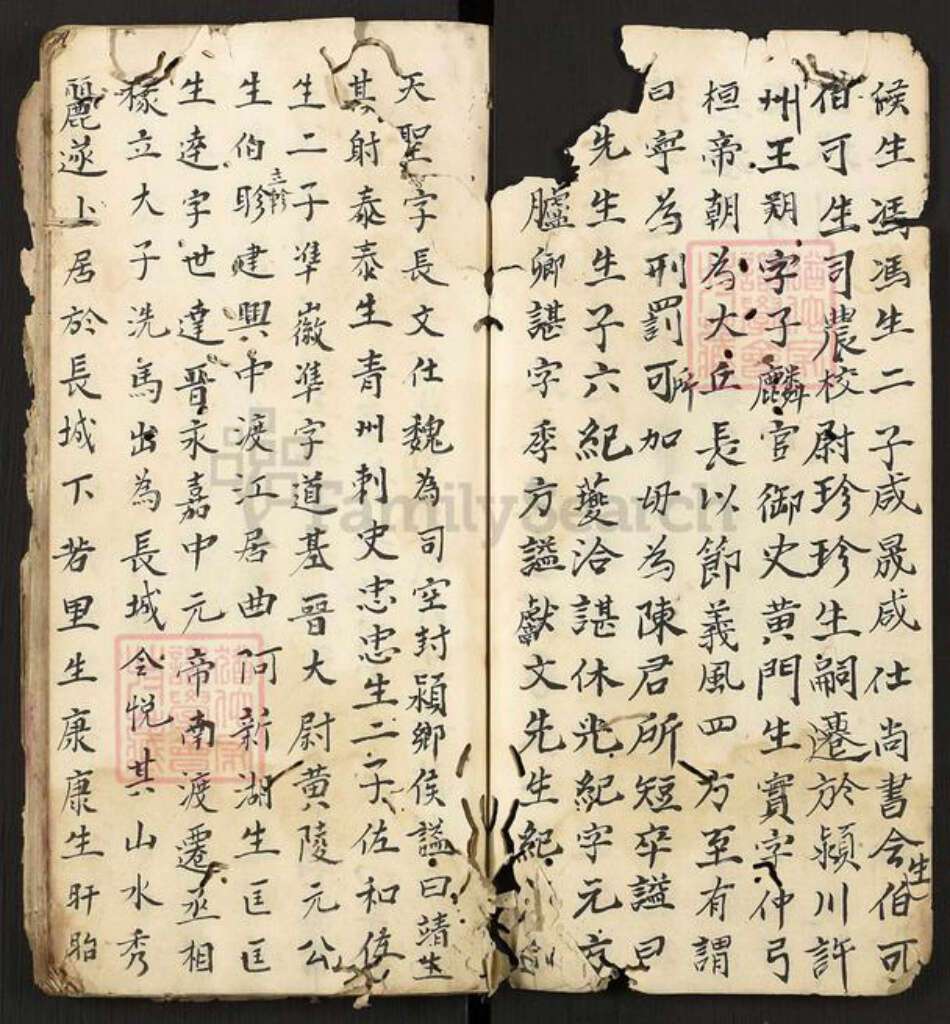 湖南省长沙市浏阳市小河乡胡氏胡氏族谱族谱-胡氏族谱.pdf电子版预览图4