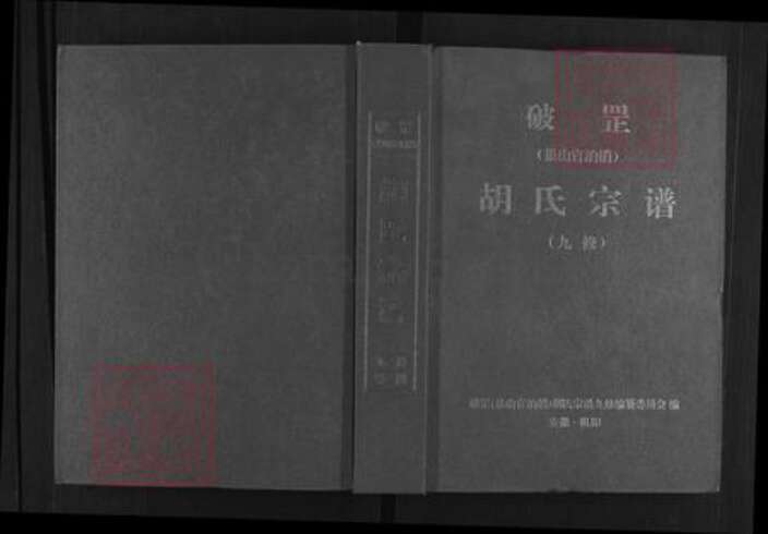 安徽省铜陵市枞阳县欧山镇胡氏族谱-破罡(巢山官泊梢)胡氏宗谱.pdf电子版缩略图