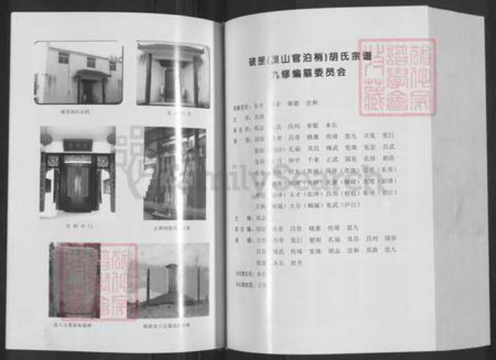 安徽省铜陵市枞阳县欧山镇胡氏族谱-破罡(巢山官泊梢)胡氏宗谱.pdf电子版预览图5