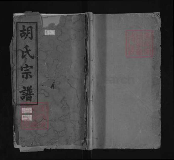 湖北省咸宁市通城县胡氏安定堂族谱-胡氏宗谱.pdf电子版缩略图