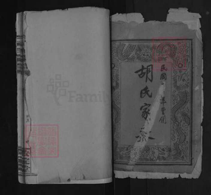 湖北省咸宁市通城县胡氏安定堂族谱-胡氏宗谱.pdf电子版预览图1