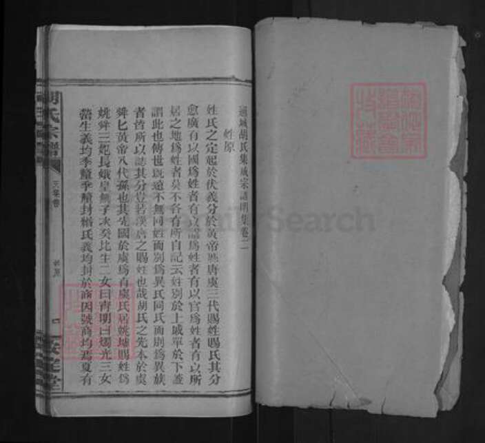 湖北省咸宁市通城县胡氏安定堂族谱-胡氏宗谱.pdf电子版预览图2