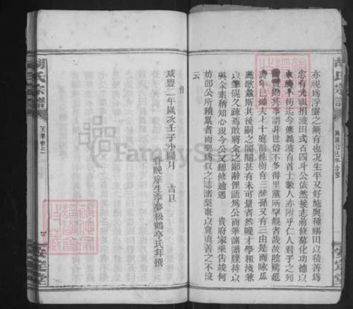 湖北省咸宁市通城县胡氏安定堂族谱-胡氏宗谱.pdf电子版预览图4