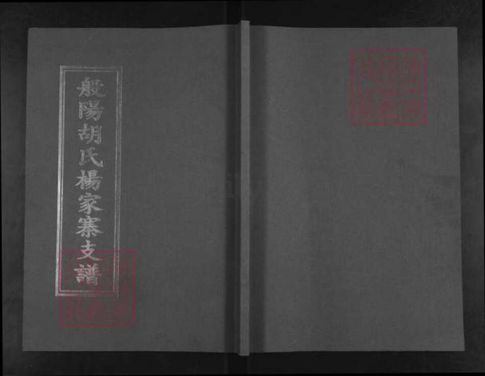 山东省淄博市淄川区胡氏族谱-般阳胡氏杨家寨支谱.pdf电子版缩略图