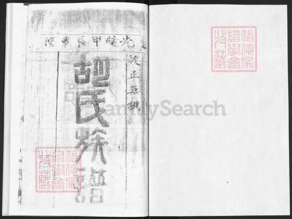 山东省烟台市龙口市胡氏族谱-胡氏族册.pdf电子版预览图1