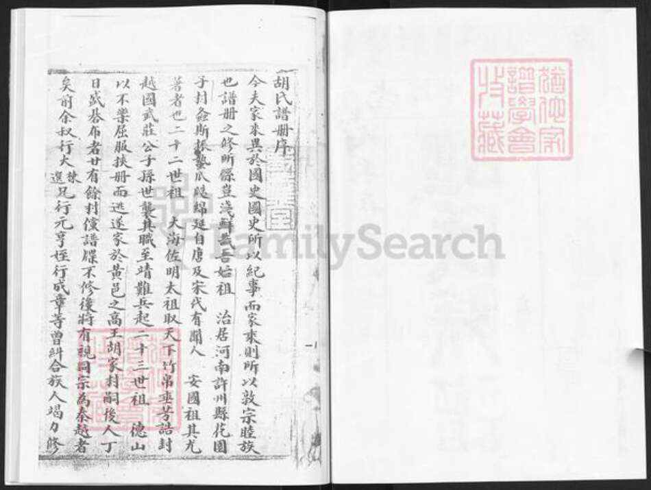 山东省烟台市龙口市胡氏族谱-胡氏族册.pdf电子版预览图2