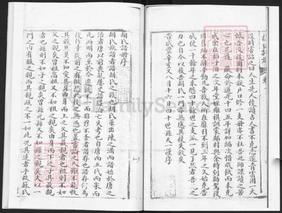 山东省烟台市龙口市胡氏族谱-胡氏族册.pdf电子版预览图4