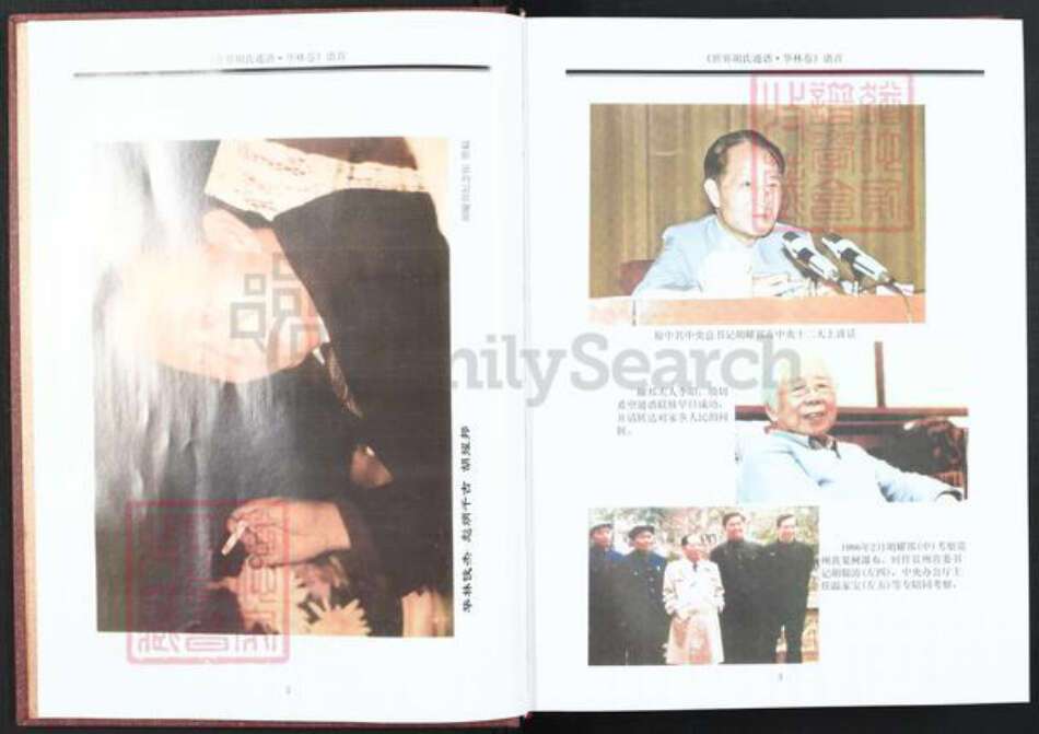 江西省宜春市奉新县赤岸镇胡氏安定堂族谱-世界胡氏通谱.华林卷.pdf电子版预览图3