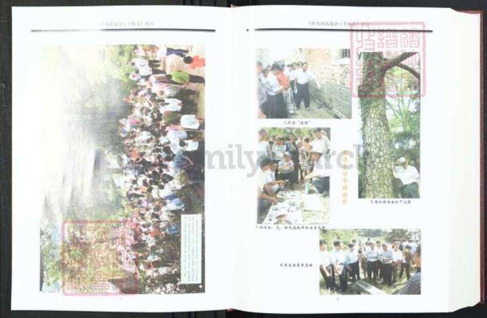 江西省宜春市奉新县赤岸镇胡氏安定堂族谱-世界胡氏通谱.华林卷.pdf电子版预览图5