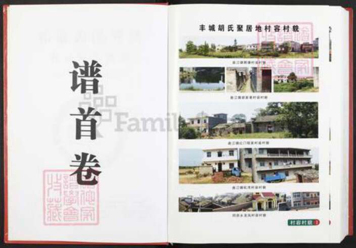 江西省宜春市丰城市铁路镇胡氏安定堂族谱-世界胡氏通谱.江西丰城分谱.pdf电子版预览图3