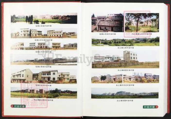 江西省宜春市丰城市铁路镇胡氏安定堂族谱-世界胡氏通谱.江西丰城分谱.pdf电子版预览图5