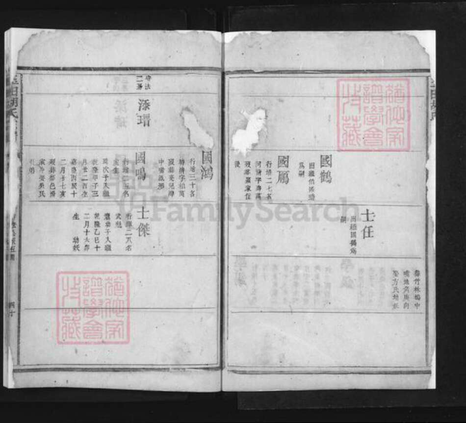 河北省唐山市玉田县胡氏族谱-玉田胡氏宗谱.pdf电子版预览图2