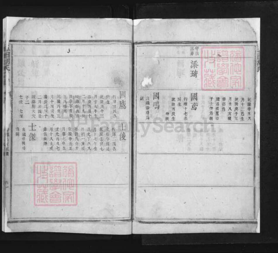 河北省唐山市玉田县胡氏族谱-玉田胡氏宗谱.pdf电子版预览图3