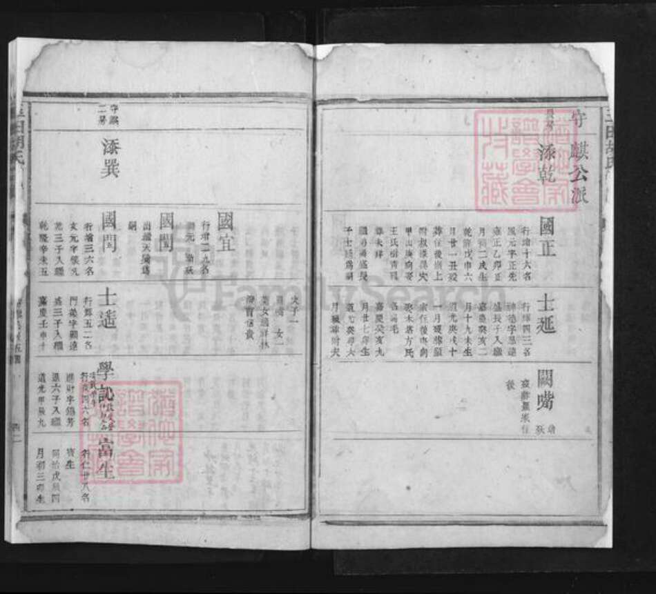 河北省唐山市玉田县胡氏族谱-玉田胡氏宗谱.pdf电子版预览图4