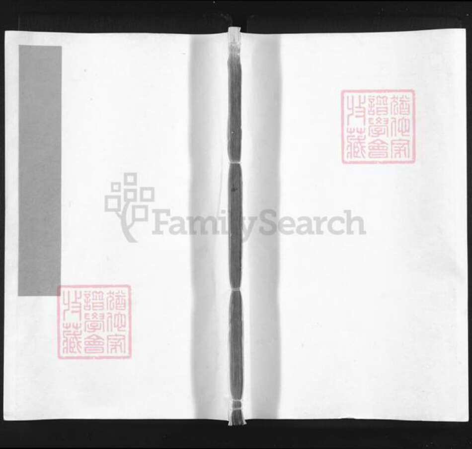 安徽省池州市东至县尧渡镇胡氏族谱-玉田胡氏宗谱.pdf电子版缩略图