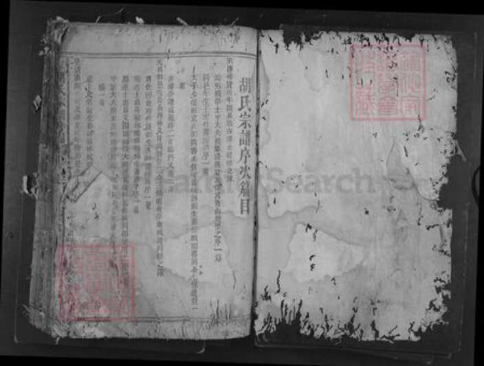 湖南省益阳市安化县渠江镇胡氏族谱-胡氏宗谱.pdf电子版预览图1