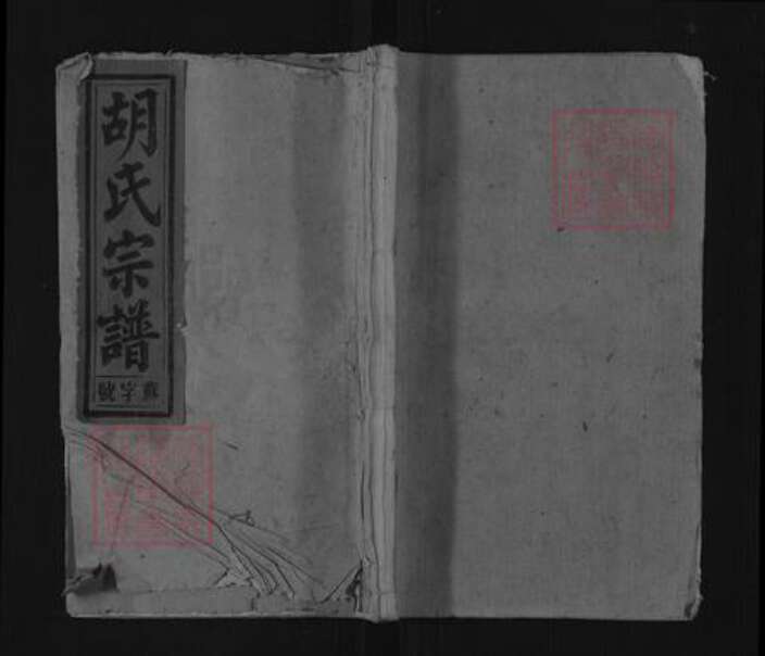 安徽省池州市青阳县胡氏族谱-胡氏宗谱.pdf电子版缩略图