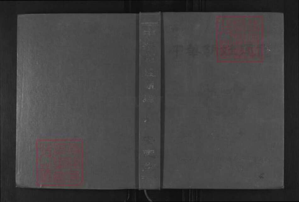 湖北省黄石市大冶市胡氏安定堂族谱-中华胡姓通谱.pdf电子版缩略图