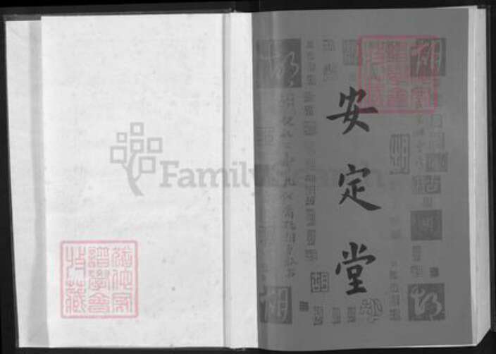 湖北省咸宁市通城县胡氏安定堂族谱-胡氏宗谱.pdf电子版预览图1