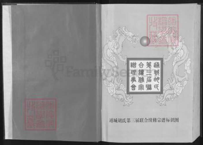 湖北省咸宁市通城县胡氏安定堂族谱-胡氏宗谱.pdf电子版预览图2