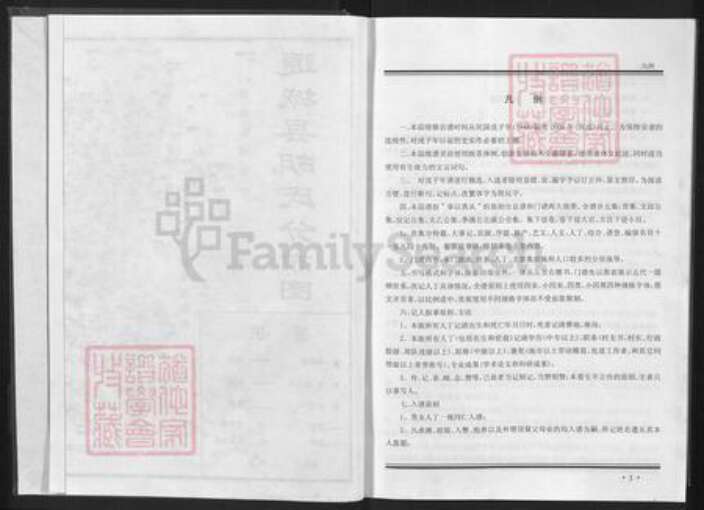 湖北省咸宁市通城县胡氏安定堂族谱-胡氏宗谱.pdf电子版预览图4