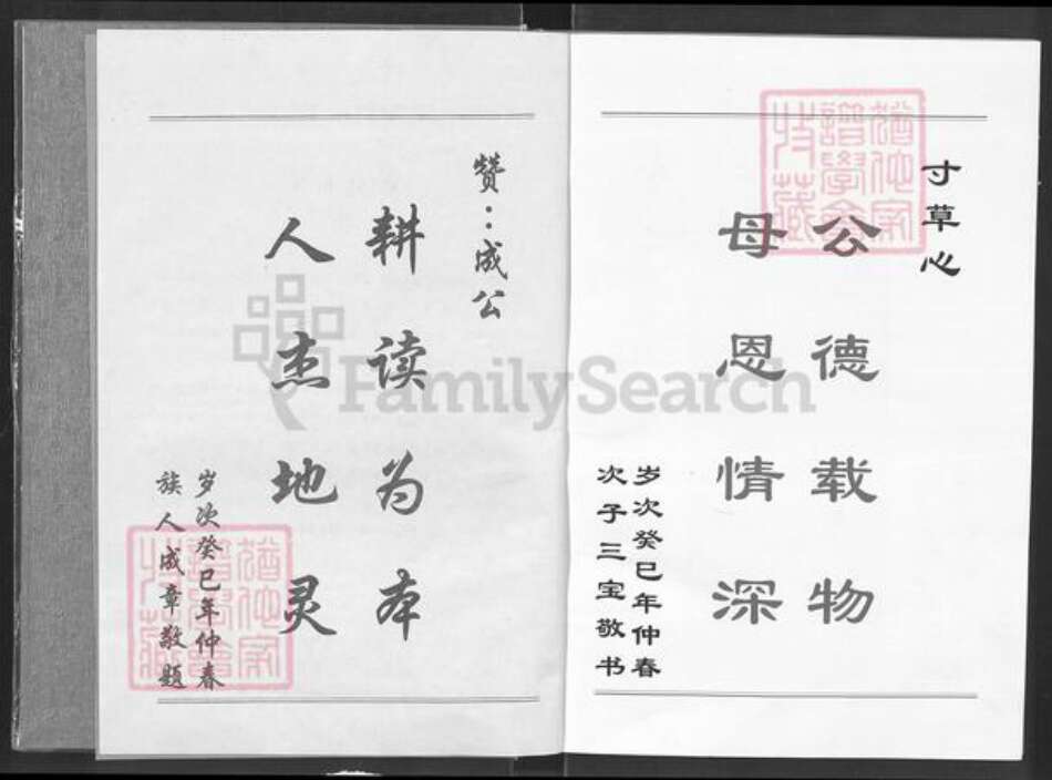 湖北省咸宁市通城县胡氏族谱-胡姓成公相乘.pdf电子版预览图2