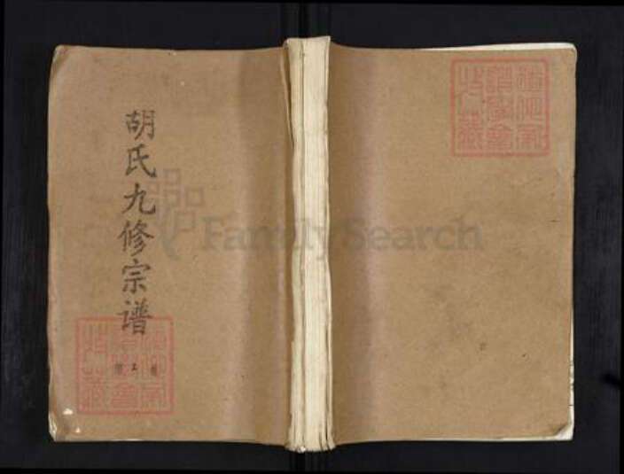 湖北省黄冈市蕲春县蕲州镇胡氏华林堂族谱-胡氏九修宗谱.pdf电子版缩略图